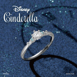 ディズニー シンデレラ　Bright　Destiny 【ブライト・デスティニー】<br>¥275,000～